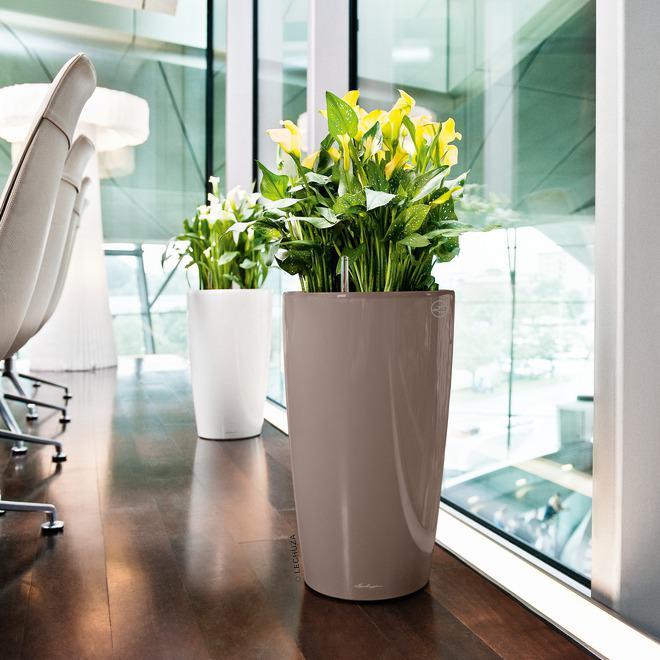 Immagine prodotto Lechuza Rondo (32.50 x 56.50 cm)