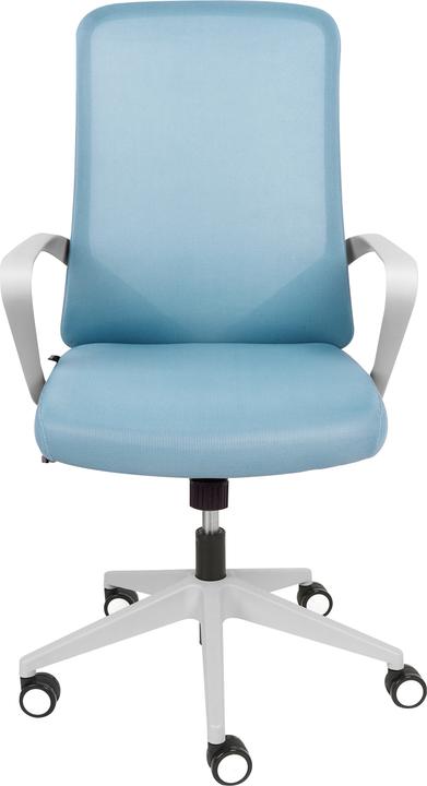 Immagine prodotto Beliani Expert (43 - 53 cm)