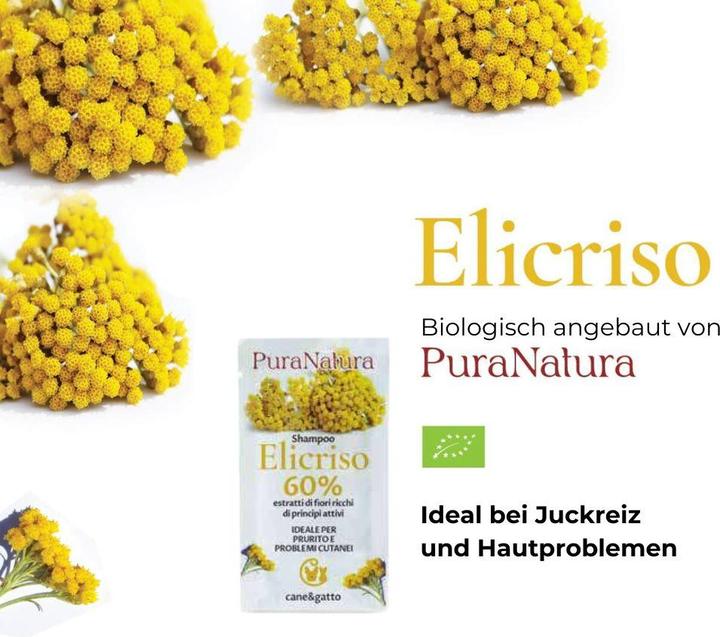 Immagine prodotto Pura Natura Shampoo - Calendula BUSTINA (CLONE) (CLONE) (CLONE) (20 ml)