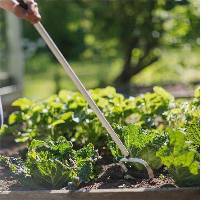 Actual product image Fiskars Weed cutter