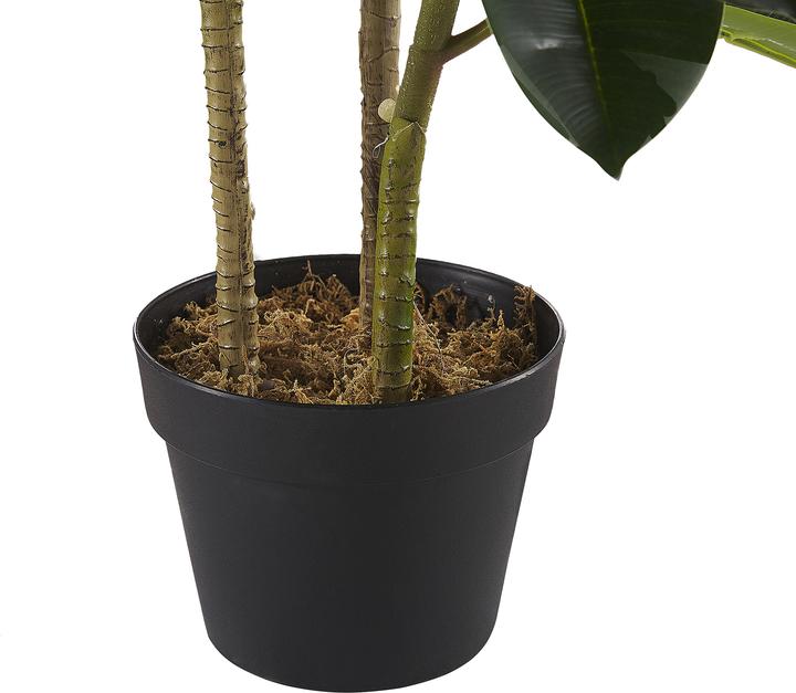 Immagine prodotto Beliani Ficus Elastica (134 cm)