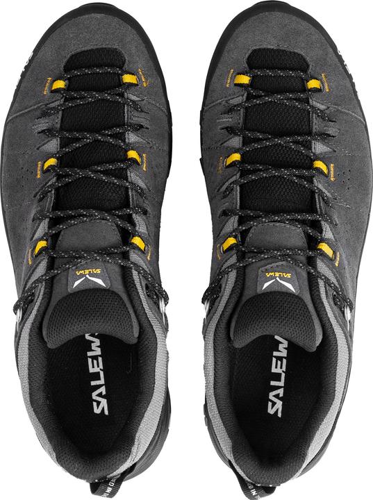 Image du produit Salewa Alp Trainer 2 GTX (43)