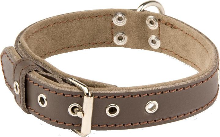 Produktbild Alter Ego Italy Sportswear (M, Hund, Hundesport, Spazieren)