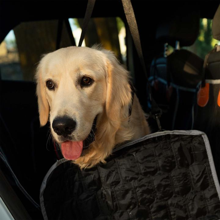 Immagine prodotto Fudajo Coprisedile posteriore (Cane, Pieghevole, Lavabile in lavatrice, Lavabile)