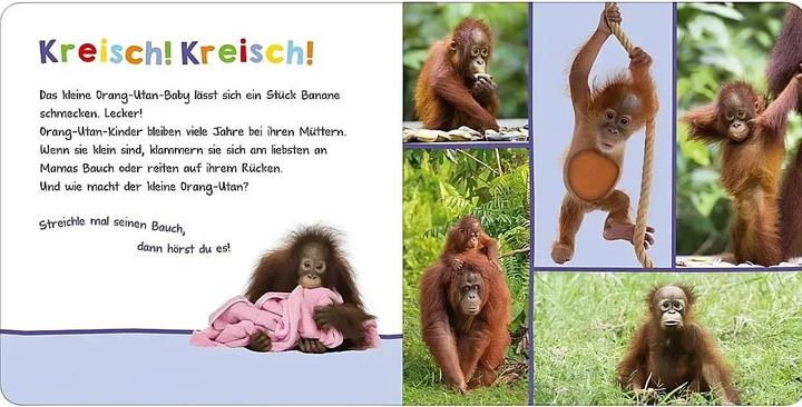 Immagine prodotto Hör mal rein, wer kann das sein? - Tierbabys (Tedesco)