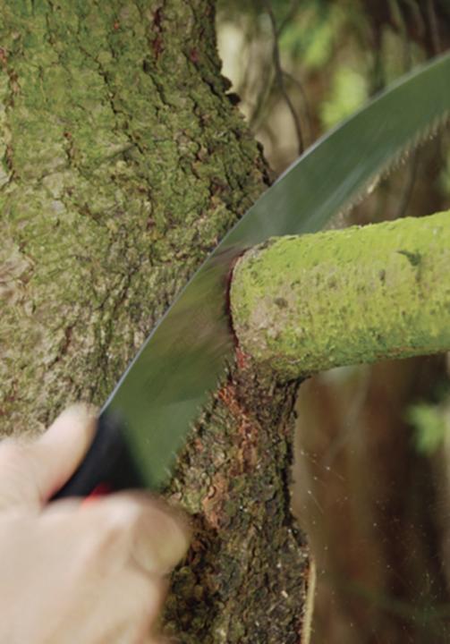 Immagine prodotto Silky Zübat 330