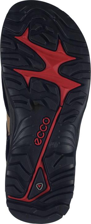 Actual product image Ecco Offroad Andes II (42)