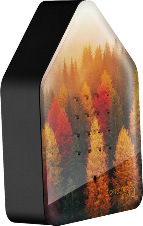 Produktbild Angela Bruderer Zwitscherbox «Wald»