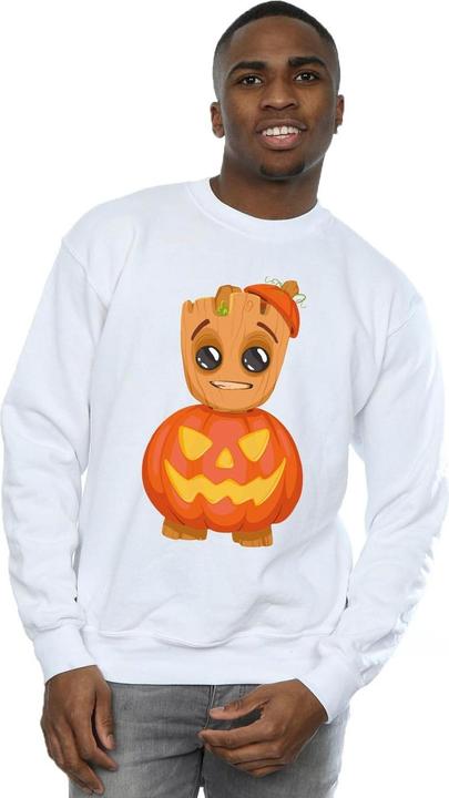 Produktbild Sweatshirt (S)