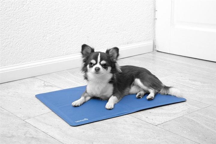 Produktbild Beeztees Quick (Hund)