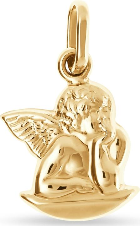 Produktbild Favs Anhänger (375er Gelbgold)