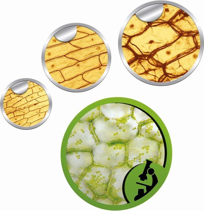 Image du produit Clementoni Microscope