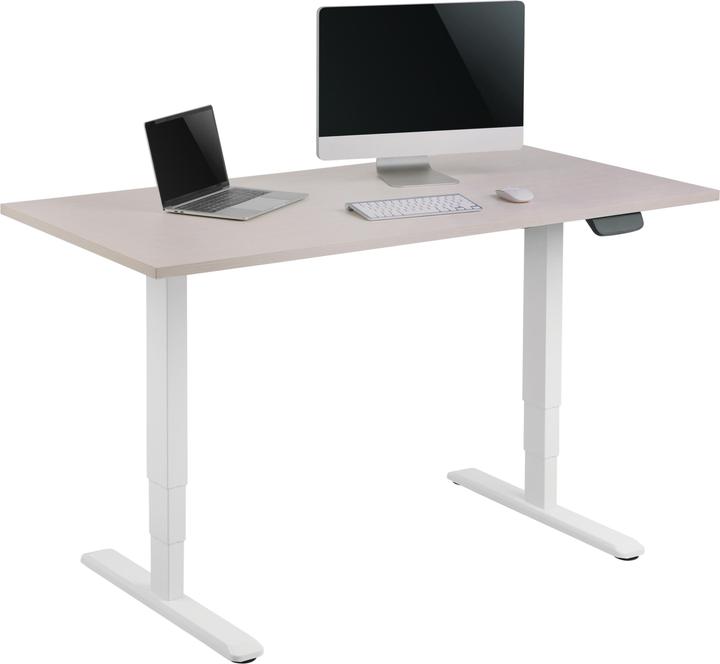 Actual product image equip ERGO Electric sit-stand table frame Double motor