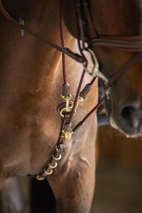 Image du produit HFI Master Gogue pour cheval