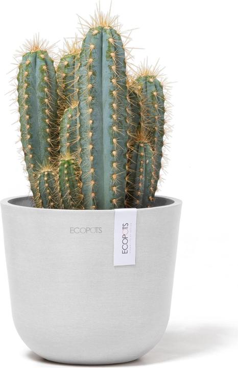 Immagine prodotto Ecopots Oslo Mini (16 cm)