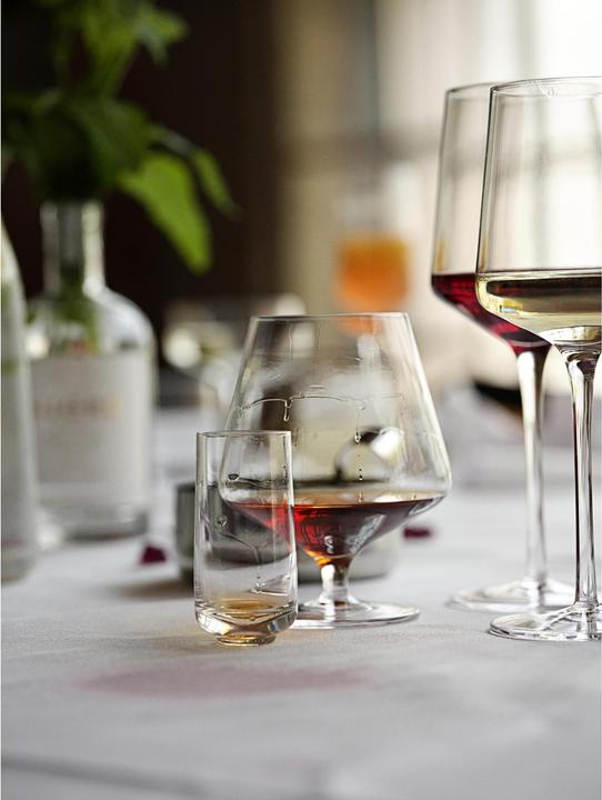 Actual product image Zone Denmark Red wine glass Rocks 480 ml, 2 pieces, Transparent (48 cl, 2 Glasses, Red wine glasses)