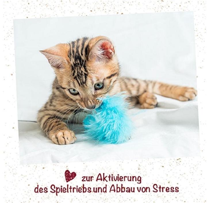 Immagine prodotto cdVet Spray CatMint (Catmint giocattolo)