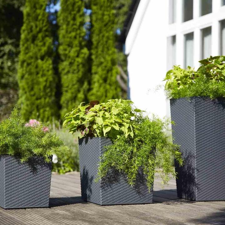 Actual product image Siena Garden Modern (35 cm)