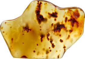 Image du produit PranaHaus Ambre brut poli *Pièce unique*.