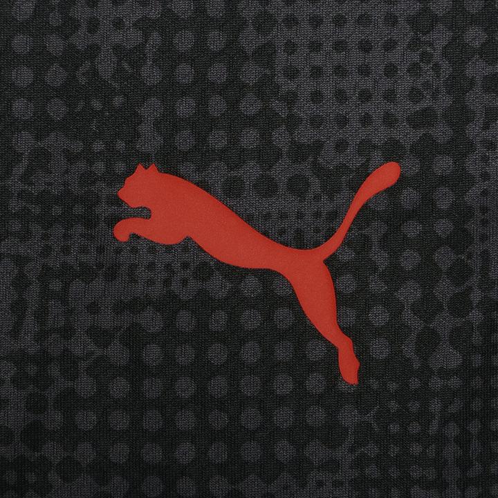 Image du produit Puma ACM Training 1/4 Zip Top (L)