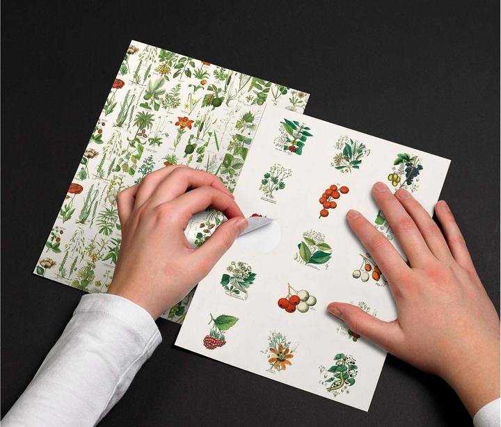 Produktbild Book Flora