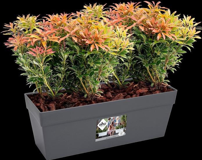 Image du produit Elho Loft urbain (17 cm)