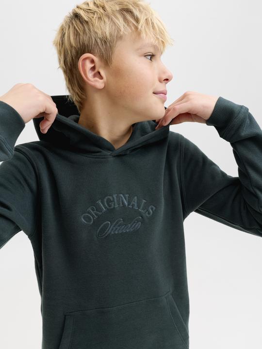Produktbild Jack & Jones Kapuzenpullover Junior Kapuzenpullover (176)