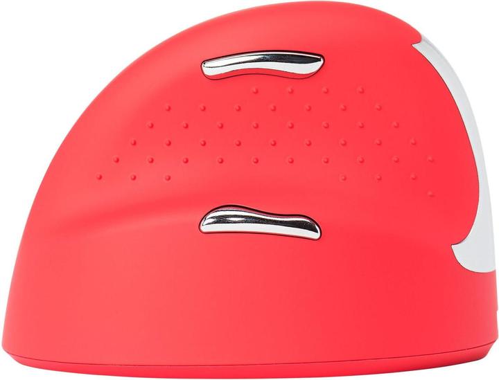 Actual product image R-Go Tools HE Sport Medium (Wireless)