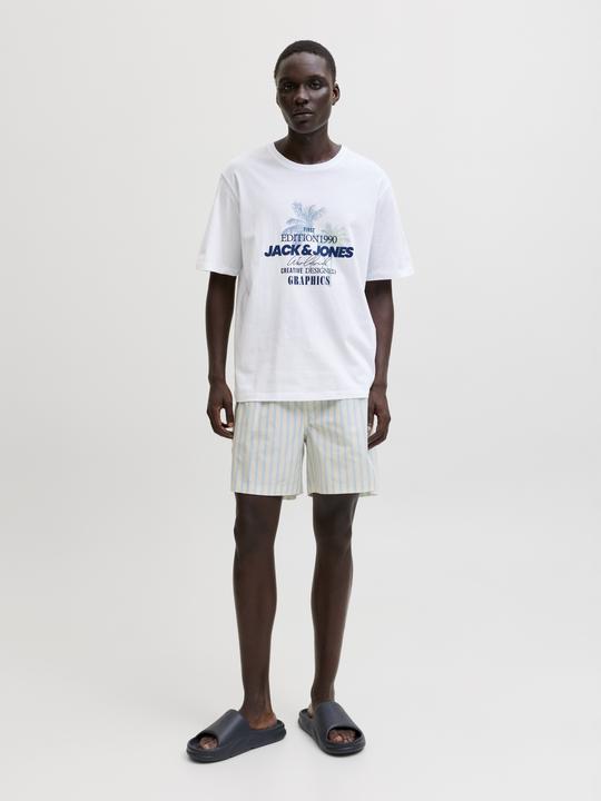 Produktbild Jack & Jones Jjgradient Print Tee Ss Crew Neck Ln (S)