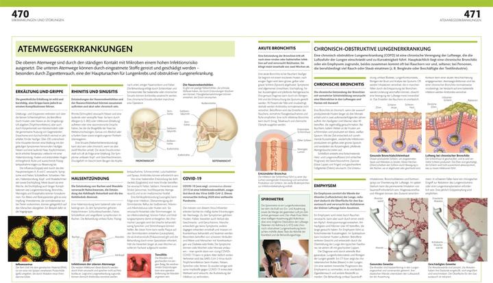 Produktbild Anatomie und Physiologie (Deutsch, Alice Roberts, Andreas Held, Simone Blass, Nikola Schmidt, 2023)