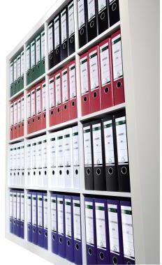 Actual product image Leitz Folder labels 39 x 191 mm