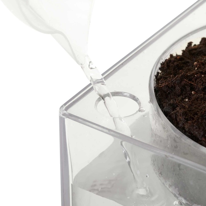 Image du produit boskke Cube triple (12.20 cm)