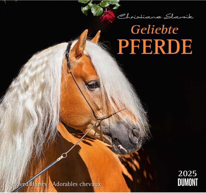 Immagine prodotto Geliebte Pferde 2026 – DUMONT-Wandkalender – Pferdefotografie von Christiane Slawik Format – 38,0 x