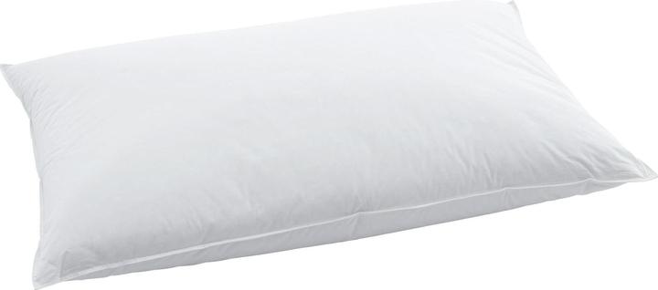 Actual product image Swiss Dream by billerbeck Soft Pillow (65 x 100 cm)