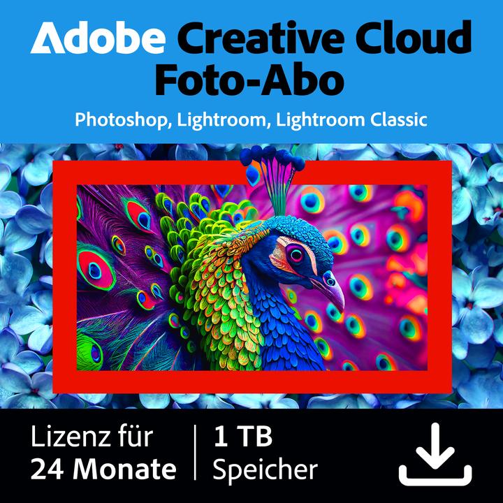 Adobe Creative Cloud Photography plan 1TB 2Y Download Code (1 Utilisateur, 1 Périphériques/Utilisateurs, 24 mois)