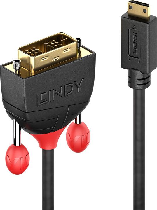 Lindy mini HDMI (Typ C) — DVI (1 m, HDMI, DVI)