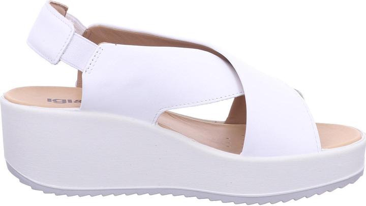 Igi&co IGI & Co 5668 877 (37)