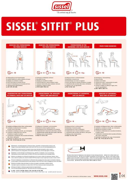 Immagine prodotto Sissel Sitfit Plus (Ø 37 cm)