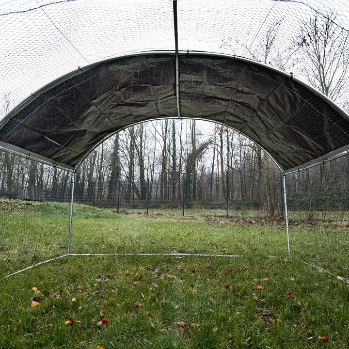 Actual product image Wiltec Fudajo XXL free-range enclosure 4x2.95x2m outdoor enclosure aviary chicken coop animal enclosure