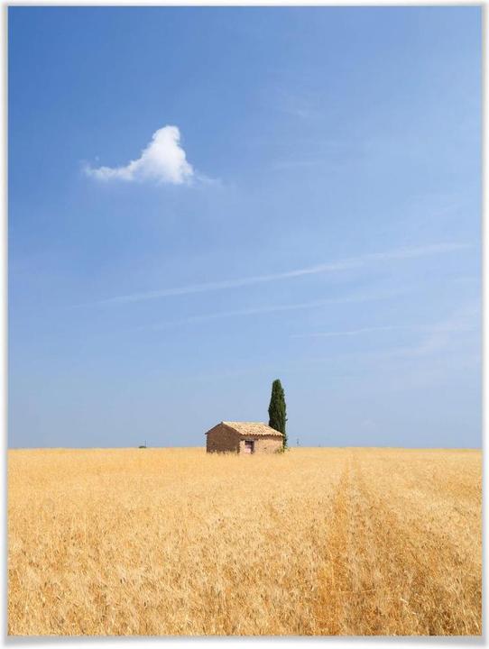 Produktbild Trenddeko In der Toskana (30 x 40 cm)