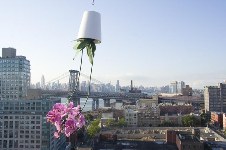 Actual product image boskke Sky Planter Small (9.50 cm)
