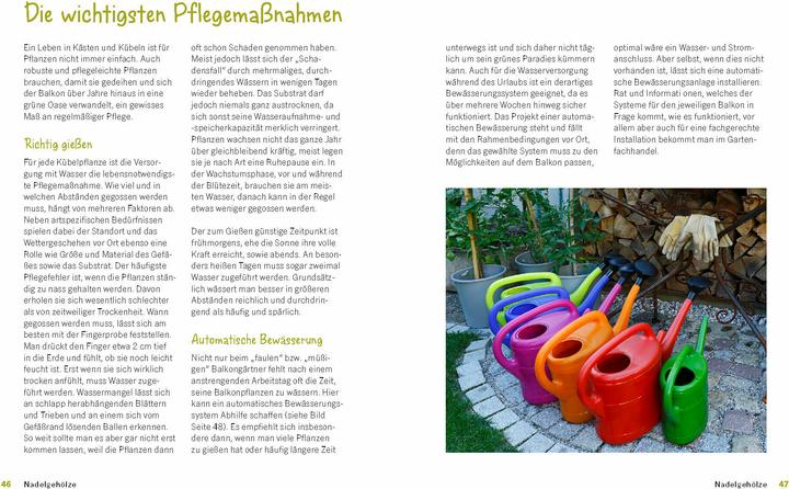 Immagine prodotto Der immergrüne Balkon. Ganzjährig gestalten mit winterharten Pflanzen (Tedesco, Ursula Kopp, 2024)