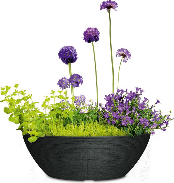Produktbild Scheurich Barceo Jardiniere (59 x 24.50 x 19.50 cm)