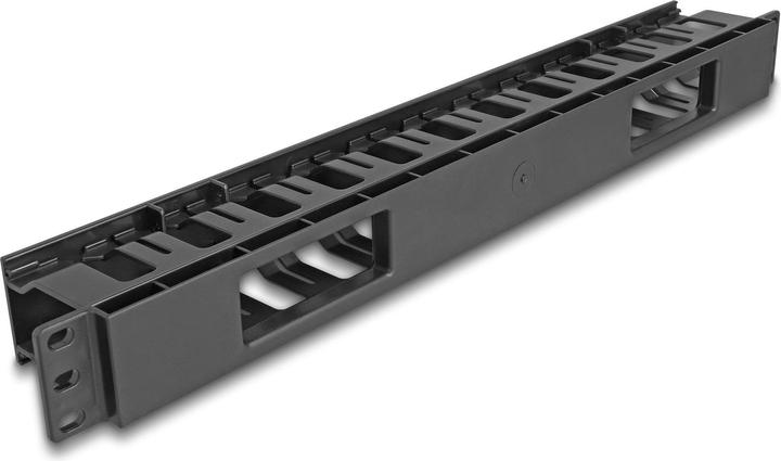 Delock 48,30cm (19"") Kabelmanagement Rangierpanel mit 2 Öffnungen 1 HE schwarz