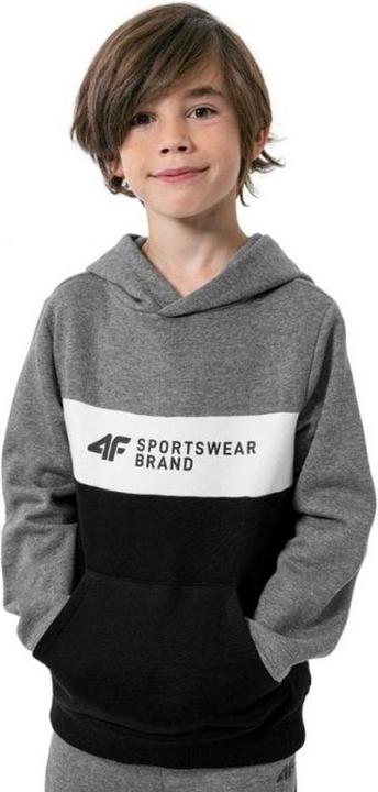 Produktbild 4F HJZ22 JBLM003 46S Kapuzenpullover (134)