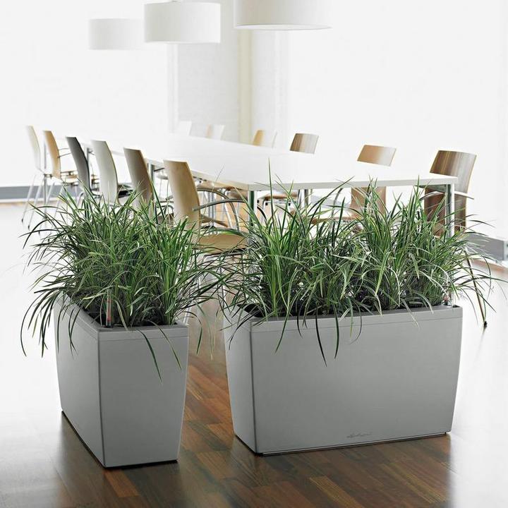 Image du produit Lechuza Cararo (75 x 30 x 43 cm)