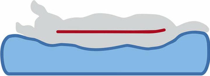 Produktbild Trixie Noah Vital mattress, square, 50 × 35 cm, light grey (Hund)