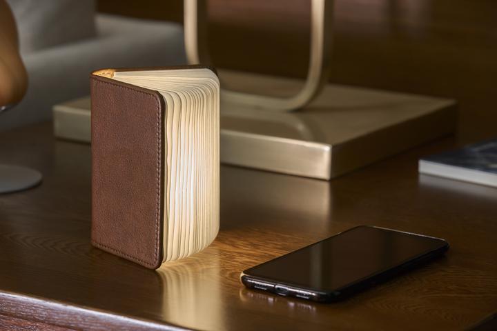 Actual product image Gingko Book