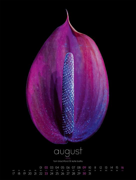 Produktbild in bloom Kalender 2026 (50 x 66 cm)