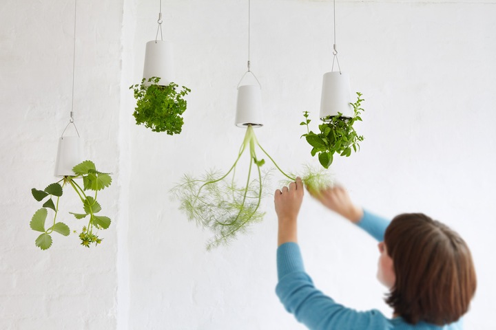 Actual product image boskke Sky Planter Medium (14.40 cm)